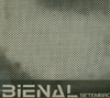 XI Bienal